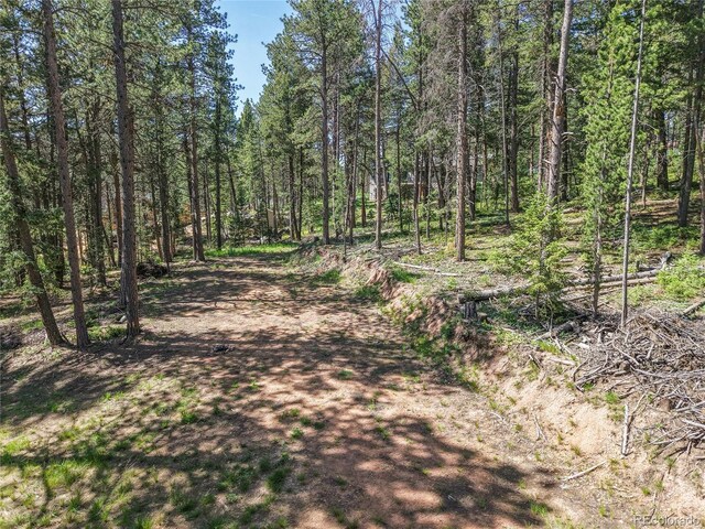 7 S Wallace Ave, Conifer, CO 80433 - photo 18