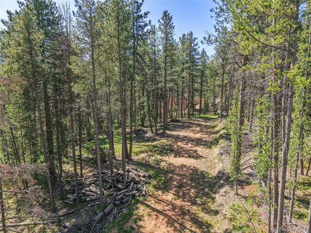 7 S Wallace Ave, Conifer, CO 80433 - photo 19
