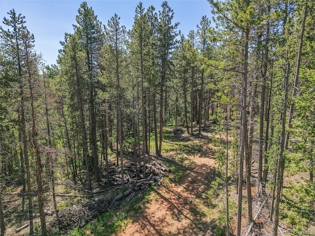 7 S Wallace Ave, Conifer, CO 80433 - photo 20