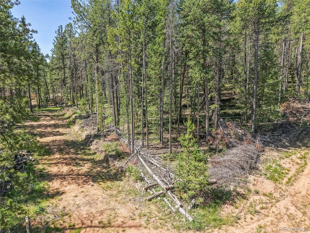 7 S Wallace Ave, Conifer, CO 80433 - photo 21