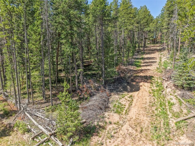 7 S Wallace Ave, Conifer, CO 80433 - photo 22