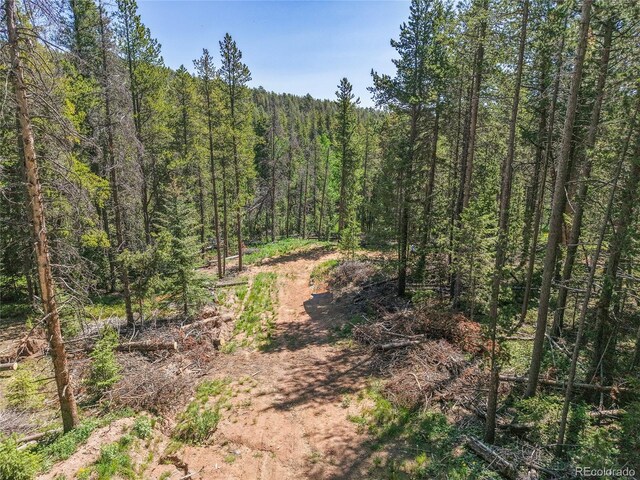 7 S Wallace Ave, Conifer, CO 80433 - photo 23