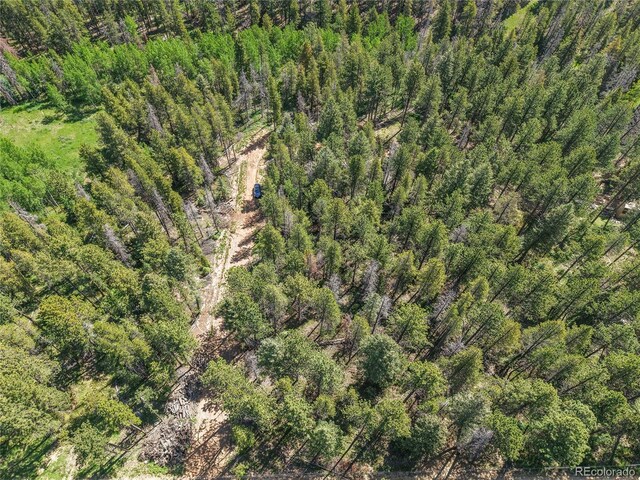 7 S Wallace Ave, Conifer, CO 80433 - photo 24