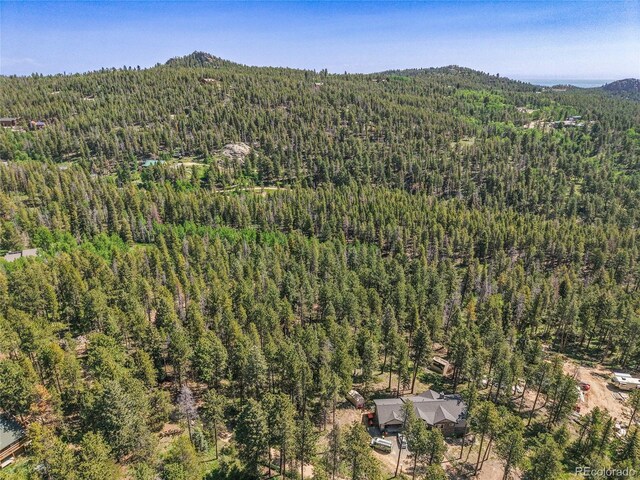 7 S Wallace Ave, Conifer, CO 80433 - photo 25