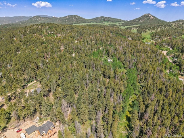 7 S Wallace Ave, Conifer, CO 80433 - photo 26