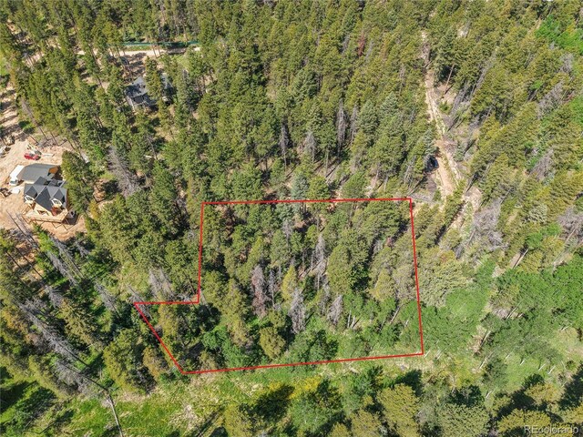 7 S Wallace Ave, Conifer, CO 80433 - photo 30