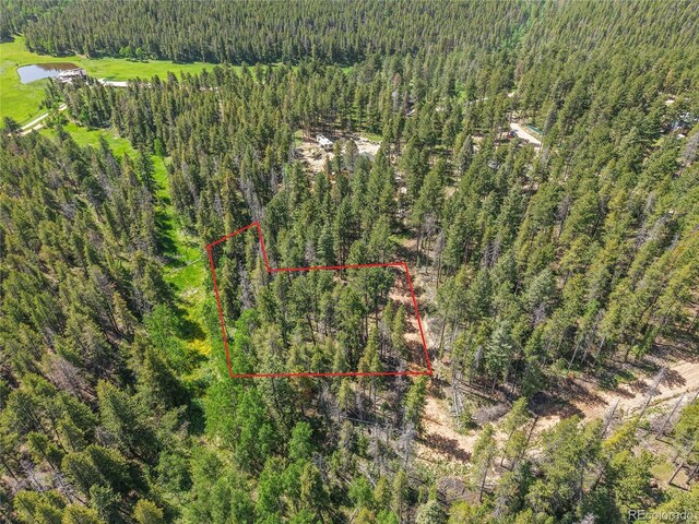 7 S Wallace Ave, Conifer, CO 80433 - photo 31