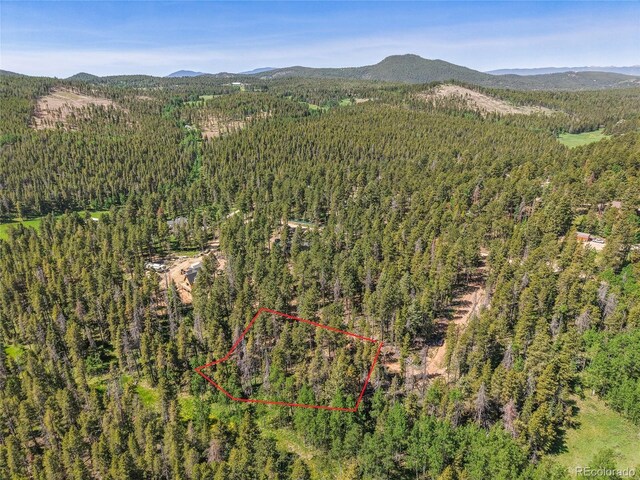7 S Wallace Ave, Conifer, CO 80433 - photo 27