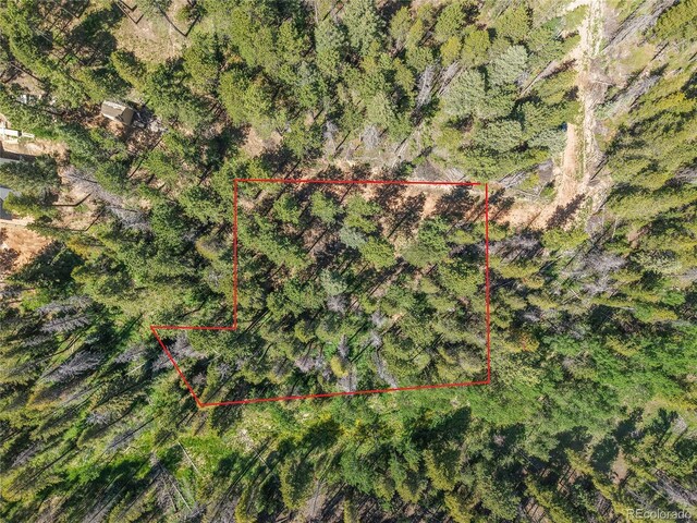 7 S Wallace Ave, Conifer, CO 80433 - photo 29