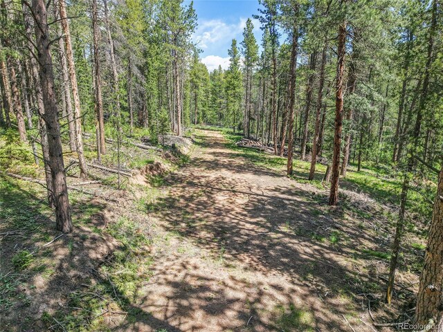 7 S Wallace Ave, Conifer, CO 80433 - photo 32