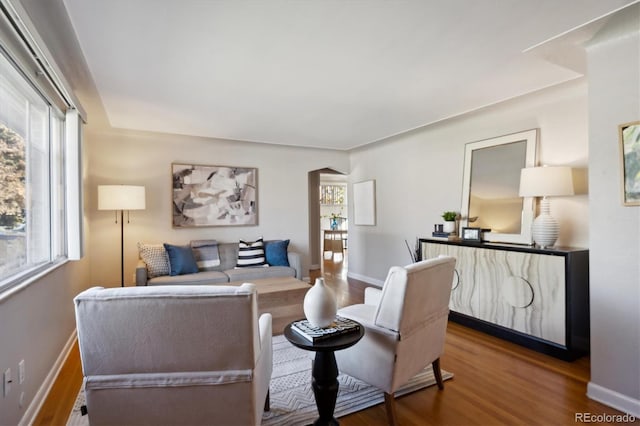 living room with hardwood / wood-style flooring and a healthy amount of sunlight