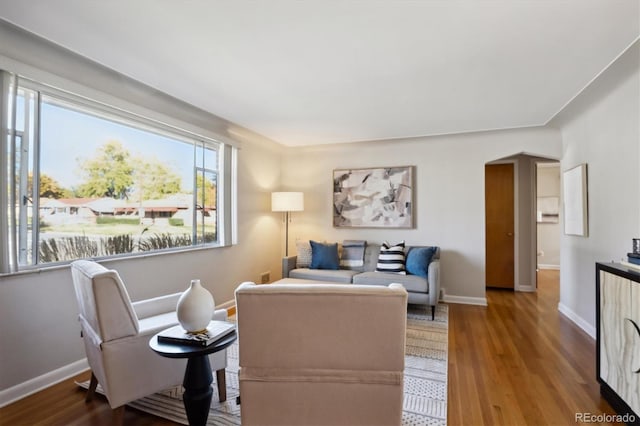 living room featuring hardwood / wood-style floors