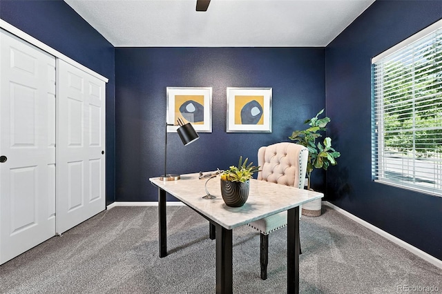 15664 E 97th Ave, Commerce City, CO 80022 - photo 14