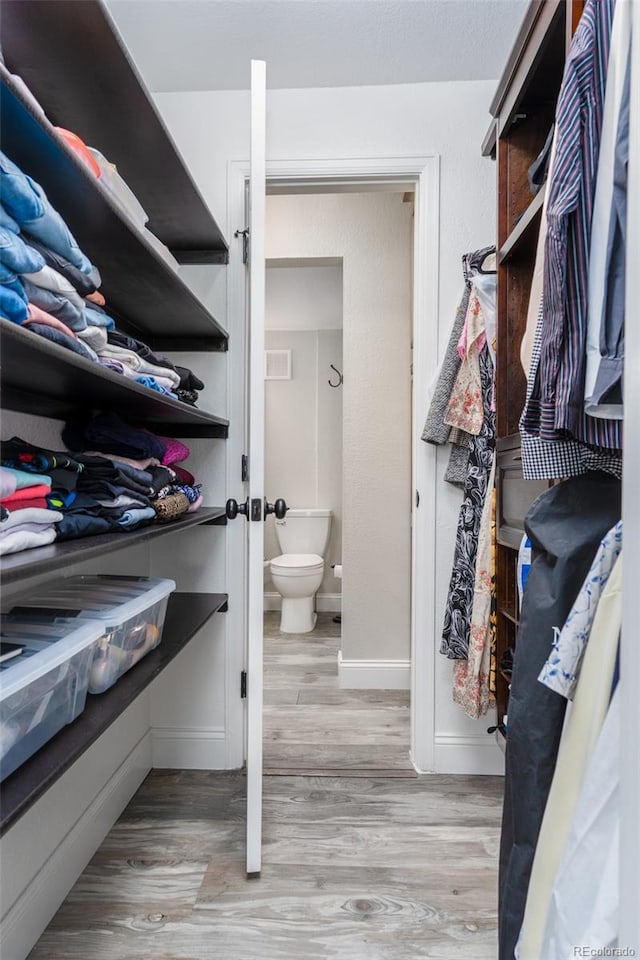 walk in closet with visible vents and light wood-type flooring