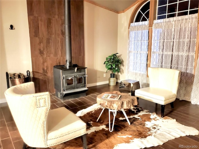 sitting room with a wood stove and dark wood-type flooring