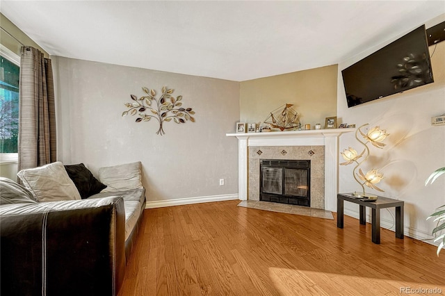 living room featuring a fireplace and wood-type flooring