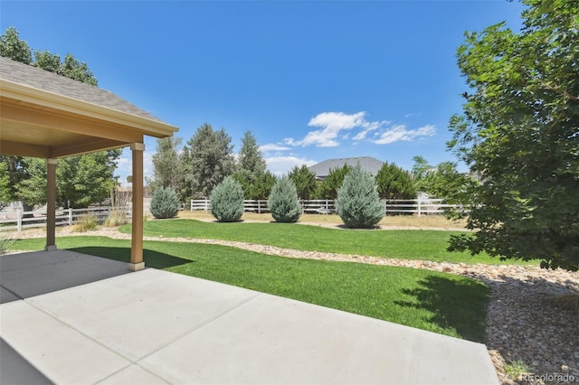 view of yard featuring a patio area