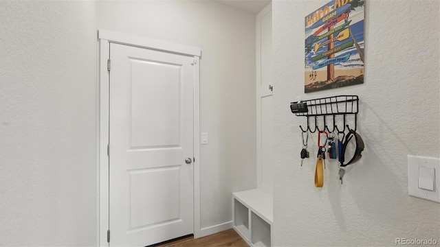 mudroom featuring wood finished floors
