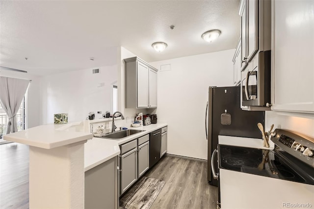 18657 Stroh Rd Unit 4103, Parker, CO 80134 - kitchen featuring stainless steel appliances, a sink, a peninsula, and gray cabinetry