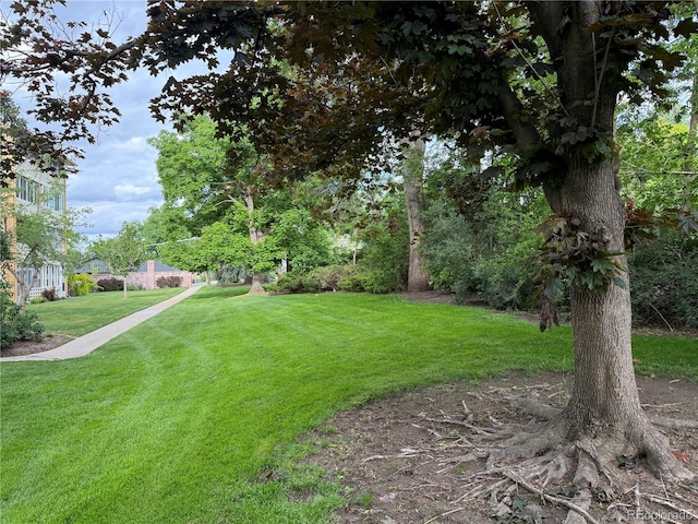 795 S Alton Way Unit 5D, Denver, CO 80247 - view of green lawn
