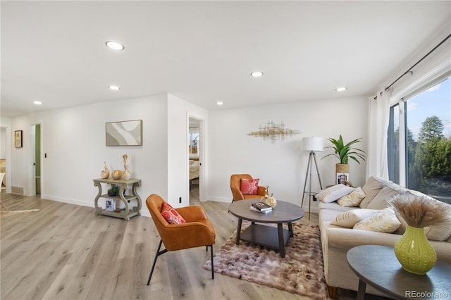 living room featuring light hardwood / wood-style floors