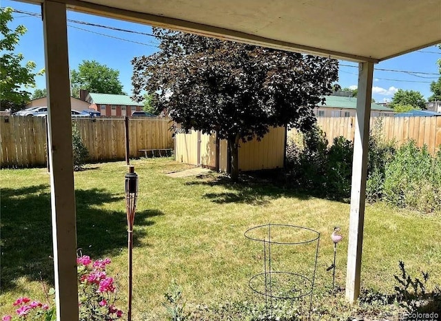 view of yard with a shed