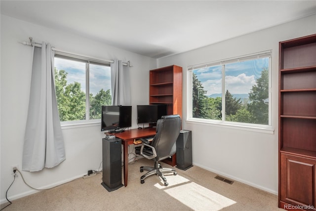 14170 W Warren Dr, Lakewood, CO 80228 - photo 27