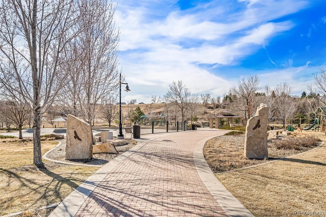 11217 W 55th Ln, Arvada, CO 80002 - photo 36