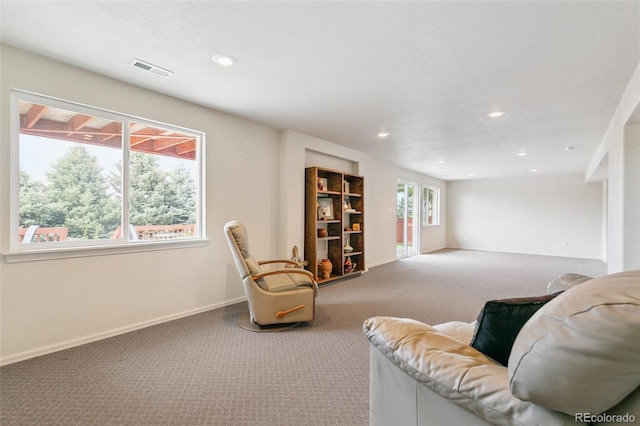 11217 W 55th Ln, Arvada, CO 80002 - photo 26