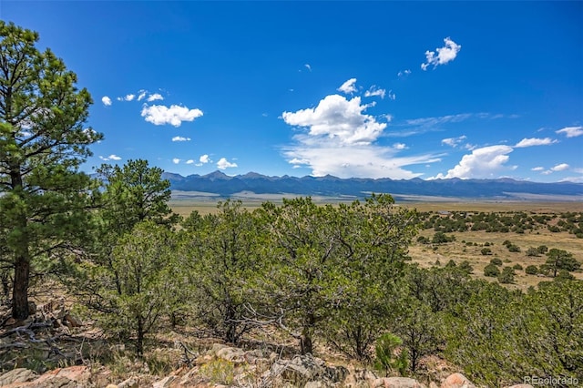 Listing photo 2 for 143 Taos Trl, Westcliffe CO 81252