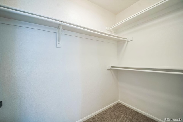 8884 Miners St, Highlands Ranch, CO 80126 - spacious closet with carpet flooring
