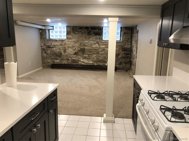 2335 Stout St, Denver, CO 80205 - basement with light colored carpet and healthy amount of natural light