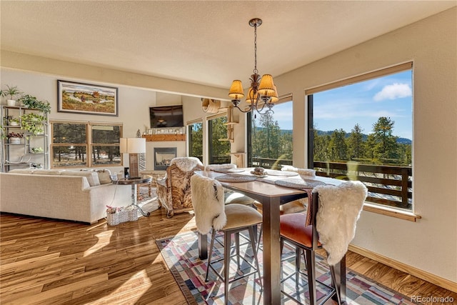 dining room with a notable chandelier and hardwood / wood-style floors