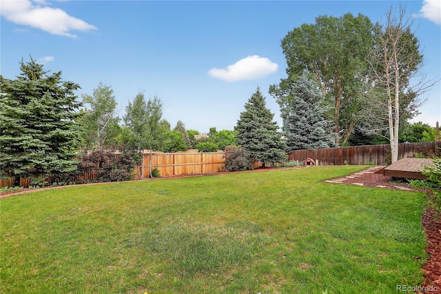 5337 S Ukraine Way, Aurora, CO 80015 - view of fenced backyard