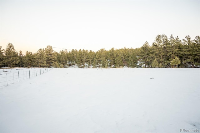 view of yard layered in snow