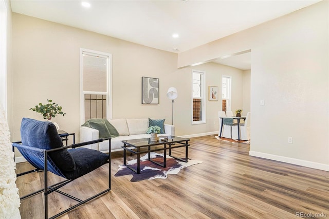 living room featuring hardwood / wood-style floors