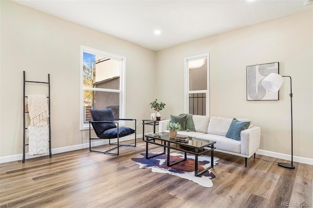 living area featuring wood-type flooring