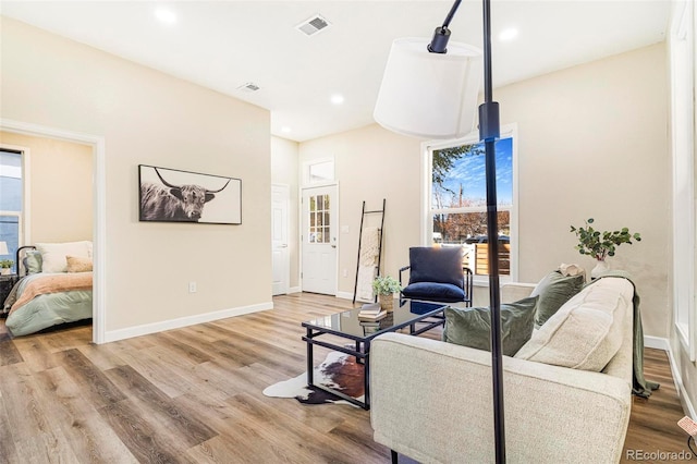 living room featuring wood-type flooring