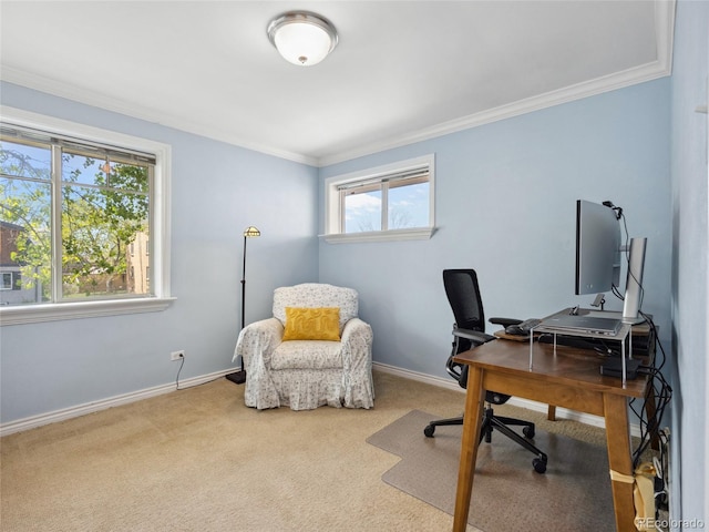 746 Birch St, Denver, CO 80220 - office with crown molding, baseboards, plenty of natural light, and carpet floors