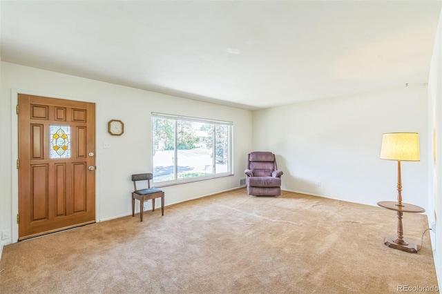 2902 S Meade St, Denver, CO 80236 - photo 5
