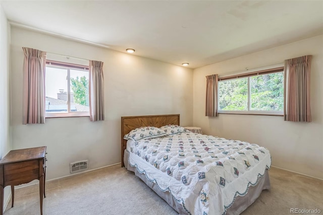2902 S Meade St, Denver, CO 80236 - photo 12