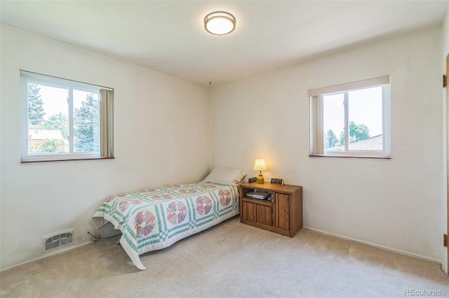 2902 S Meade St, Denver, CO 80236 - photo 13