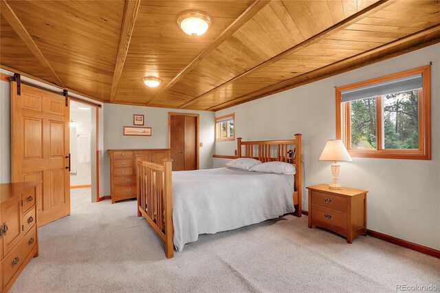 10951 Kitty Dr, Conifer, CO 80433 - photo 19