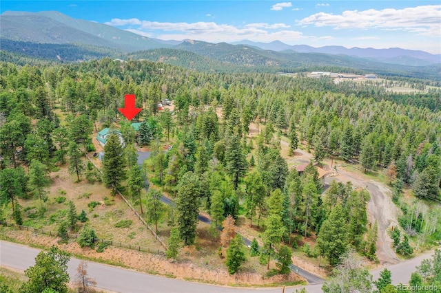 10951 Kitty Dr, Conifer, CO 80433 - photo 45