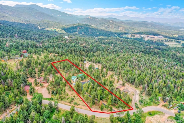 10951 Kitty Dr, Conifer, CO 80433 - photo 46