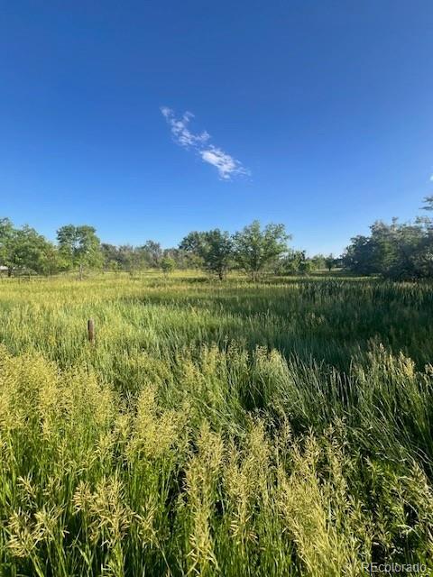 8523 Hygiene Rd, Longmont, CO 80503 - photo 3
