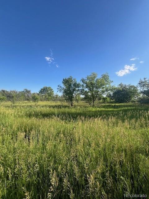 8523 Hygiene Rd, Longmont, CO 80503 - photo 7