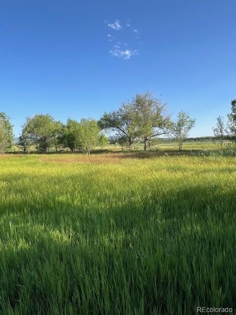 8523 Hygiene Rd, Longmont, CO 80503 - photo 13