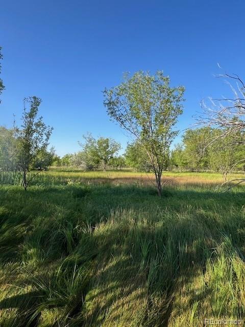 8523 Hygiene Rd, Longmont, CO 80503 - photo 16