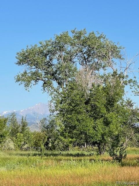 8523 Hygiene Rd, Longmont, CO 80503 - photo 17